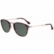 Persol Calligrapher Edition Po 3165s 24/31 G