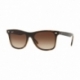 Ray-Ban Blaze Wayfarer Rb 4440n 710/13