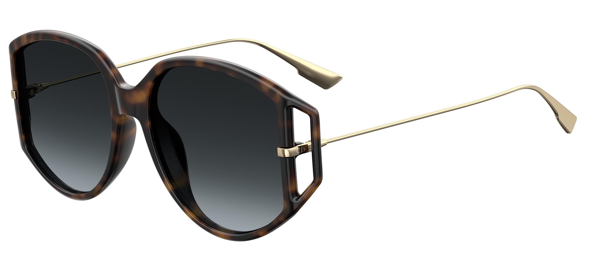 dior direction 2 pjp sunglasses