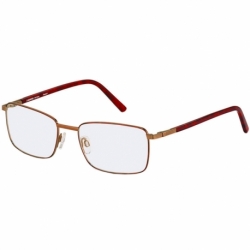 Rodenstock R7089 D 107