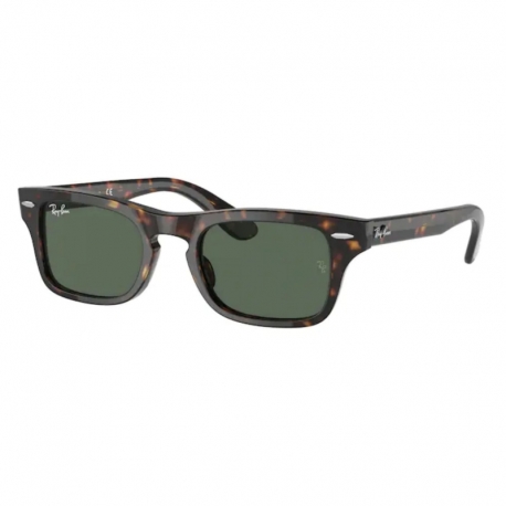 Ray-Ban Burbank Jr Rj 9083s 7102/71