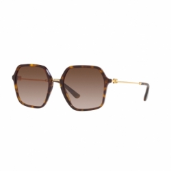 Dolce  Gabbana Dg 4422 502/13 B