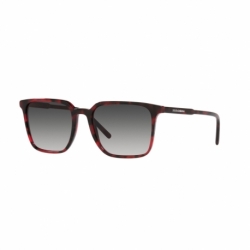 Dolce  Gabbana Dg 4424 3358/8g